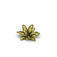 Gamers Grass GGLP-DC Laser Plants Dumb Cane
