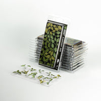 Gamers Grass GGLP-EE Laser Plants Elephant Ear