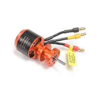 Spektrum SPMXAM2400 2628-4900Kv Brushless Outrunner 6-Pole