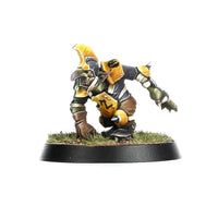 Blood Bowl Goblin Team