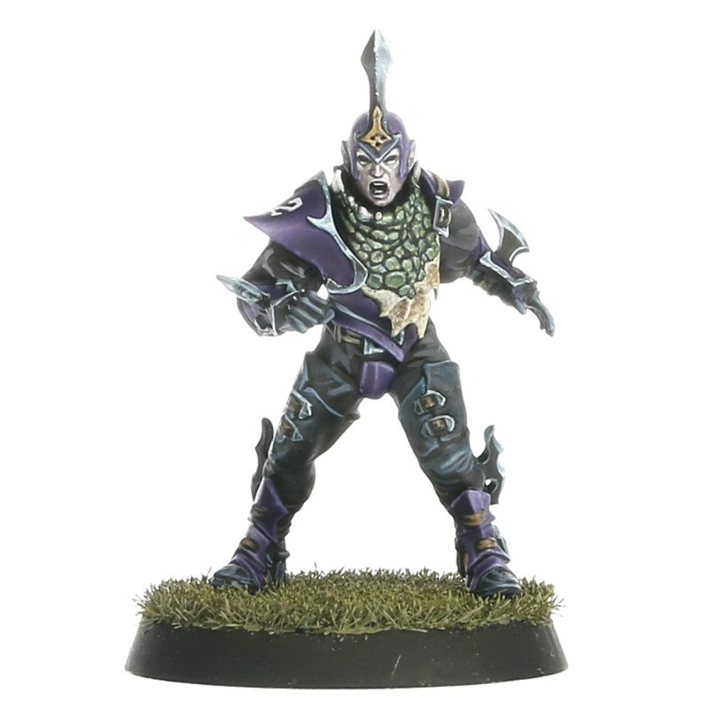 Blood Bowl Dark Elf Team
