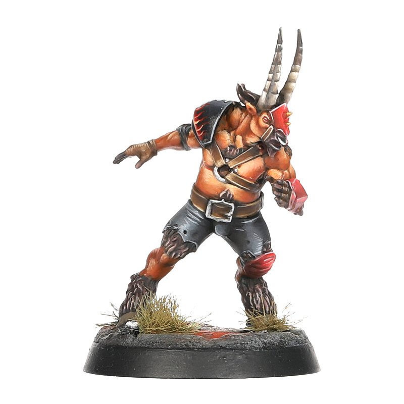 Blood Bowl Chaos Chosen Team