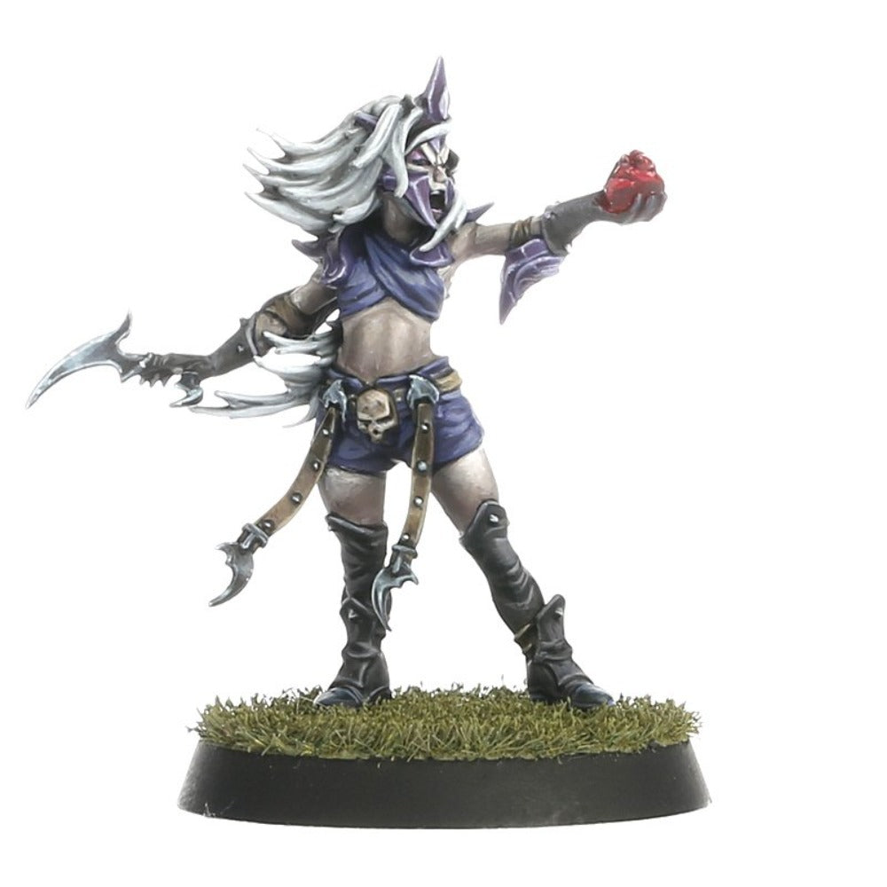 Blood Bowl Dark Elf Team