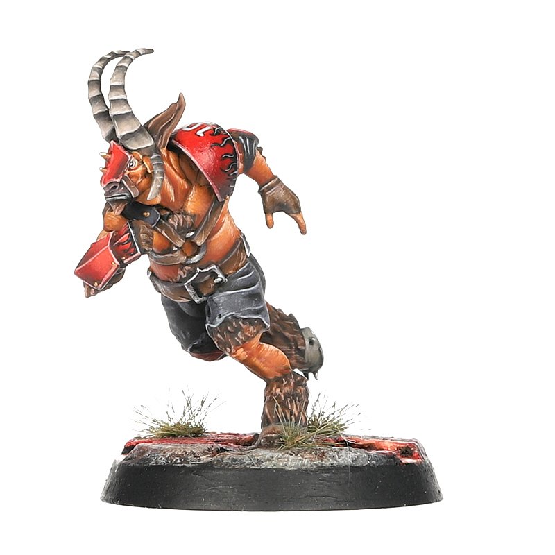 Blood Bowl Chaos Chosen Team