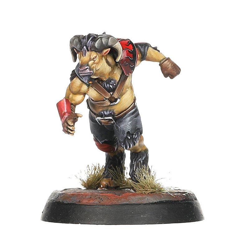 Blood Bowl Chaos Chosen Team