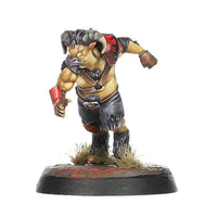 Blood Bowl Chaos Chosen Team