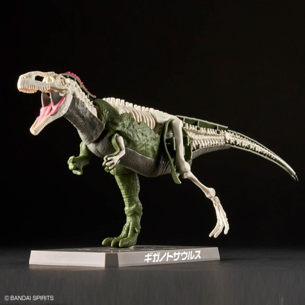 Bandai 5066320 Plannosaurus Giganotosaurus Dinosaur 4573102663207