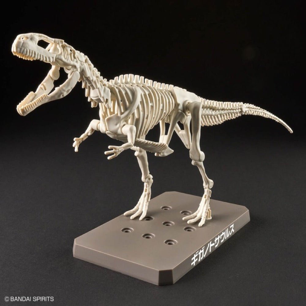 Bandai 5066320 Plannosaurus Giganotosaurus Dinosaur 4573102663207