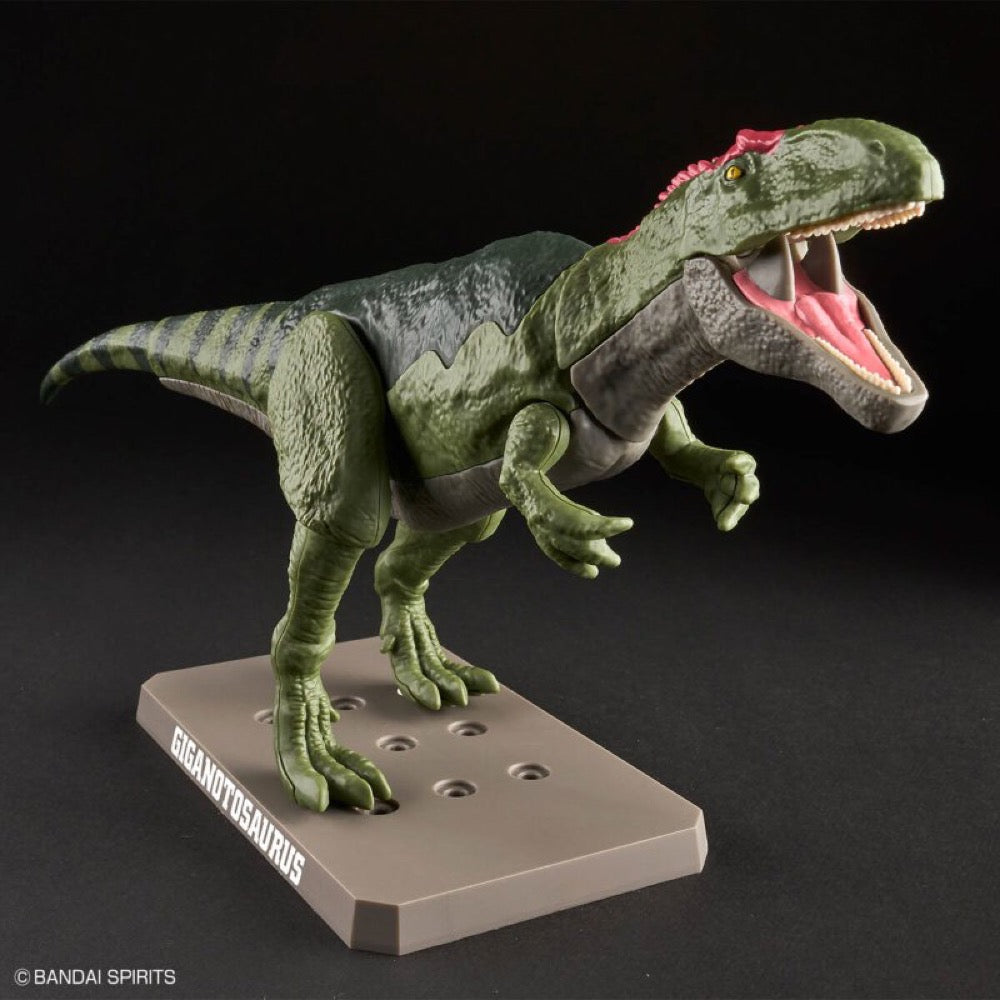 Bandai 5066320 Plannosaurus Giganotosaurus Dinosaur 4573102663207