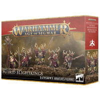 Warhmmer Age of Sigmar Maggotkin Of Nurgle Putrid Blightkings