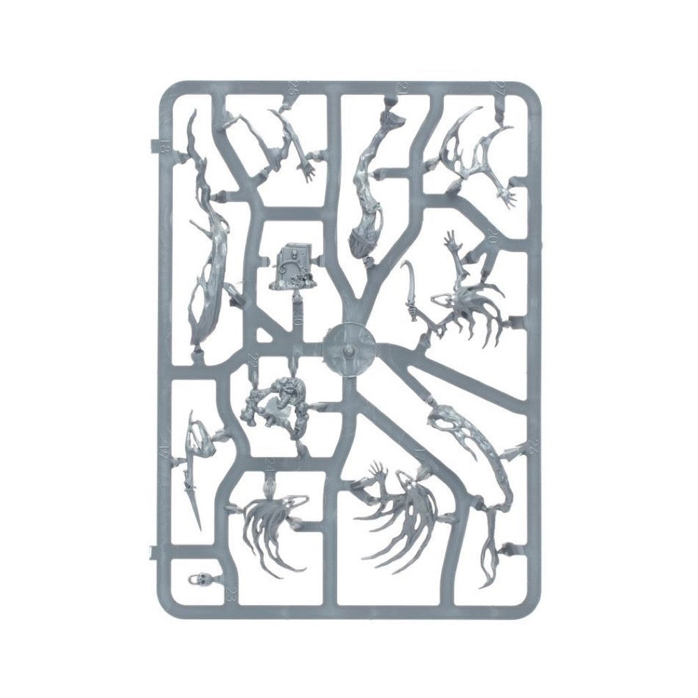 Warhammer Age of Sigmar Nighthaunt Spirit Hosts