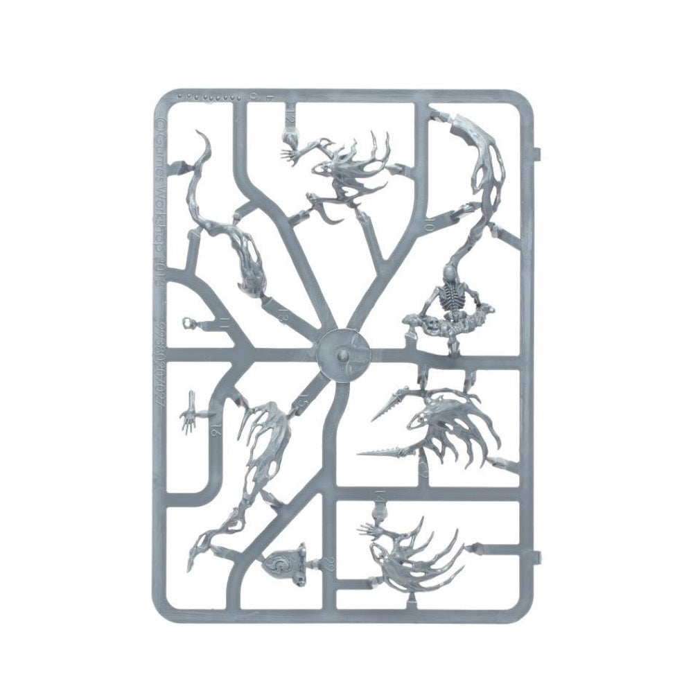 Warhammer Age of Sigmar Nighthaunt Spirit Hosts