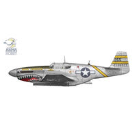 Arma Hobby 70075 1/72 P-51B Mustang CBI 5902734373779