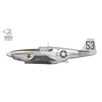Arma Hobby 70075 1/72 P-51B Mustang CBI 5902734373779
