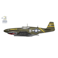 Arma Hobby 70075 1/72 P-51B Mustang CBI 5902734373779
