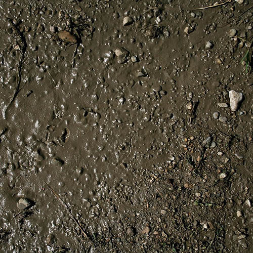 AK Interactive AK8016 Terrains Wet Ground - 250ml (Acrylic)