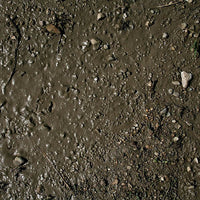 AK Interactive AK8016 Terrains Wet Ground - 250ml (Acrylic)