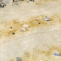 AK Interactive AK8020 Terrains Desert Sand - 250ml (Acrylic)