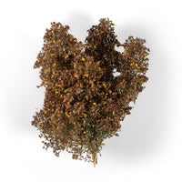 AK Interactive 8239 Dioramas Late Fall Filigree Bushes 135
