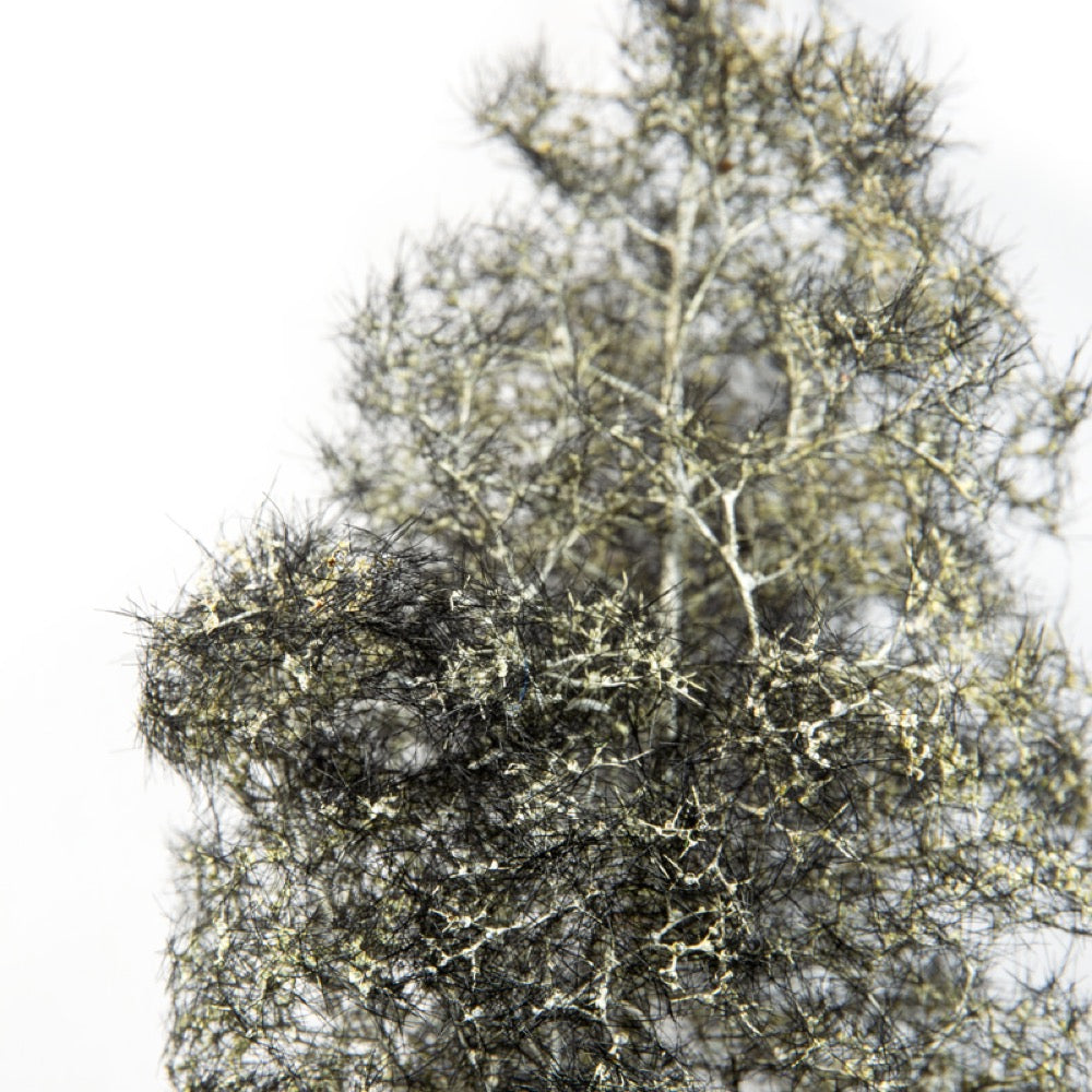 AK Interactive AK8265 1/35 Fantasy Bushes Black White