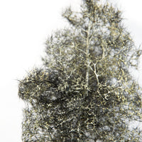 AK Interactive AK8265 1/35 Fantasy Bushes Black White