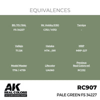 AK Interactive RC907 Real Colors Pale Green FS 34227 17ml Lacquer Paint