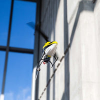 Blade 120 S2 RC Helicopter (Ready to Fly) Mode 2