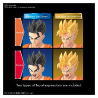 Bandai 50604401 Figure-rise Standard Ultimate Son Gohan Dragon Ball Z |  Hobbies Online