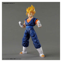 Bandai 5057789 Figure-rise Standard Super Saiyan Vegetto Dragon Ball Z |  Hobbies Online