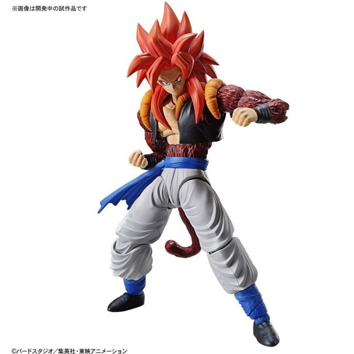 Bandai 50582981 Figure-rise Standard Super Saiyan 4 Gogeta Dragon Ball |  Hobbies Online