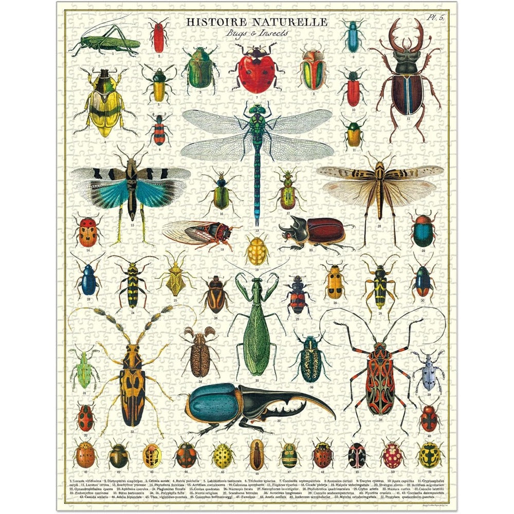 Cavallini Bugs and Insects 1000pc Jigsaw Puzzle