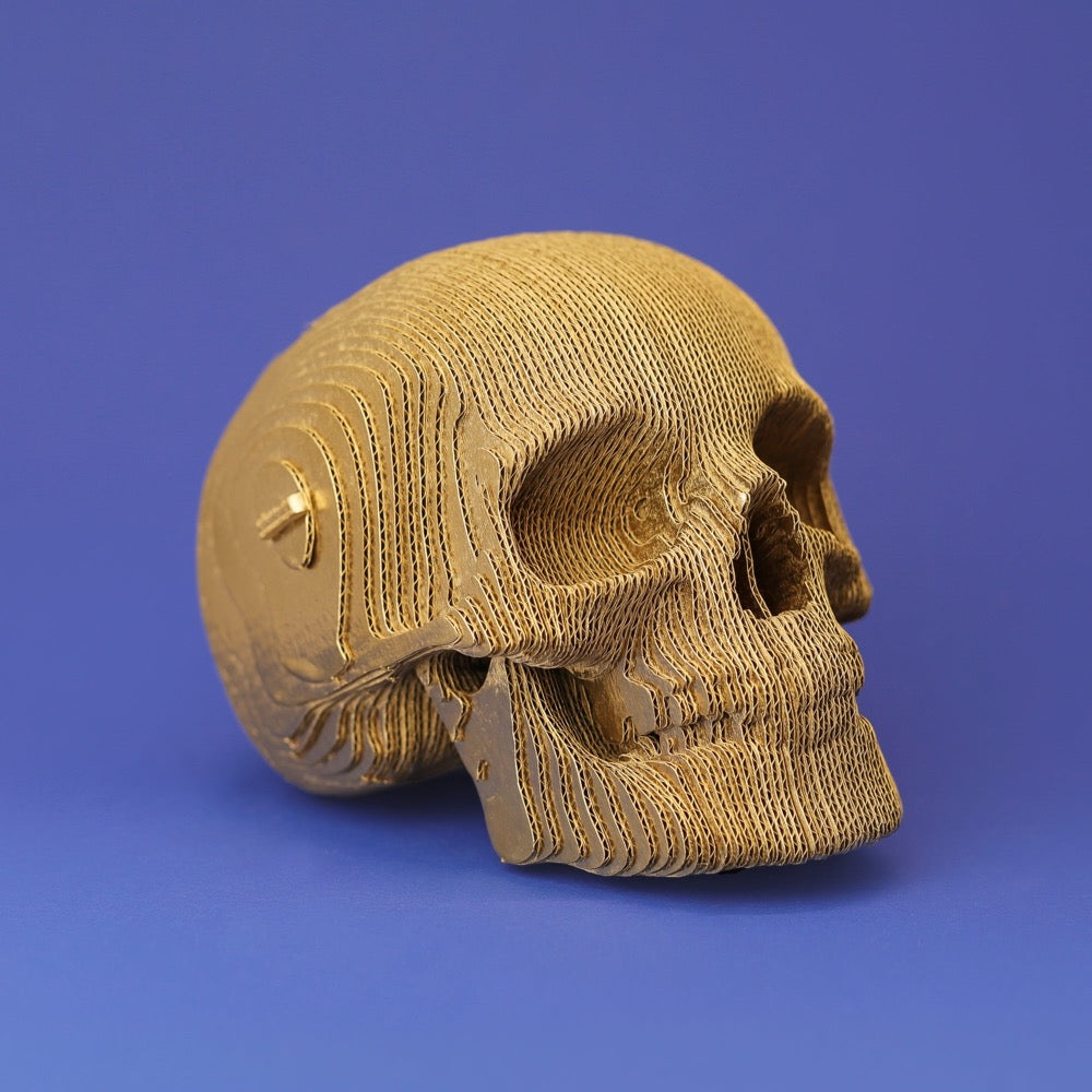 Cartonic Skull 3D Puzzle
