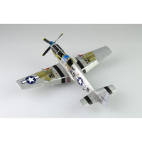 Eduard 1/48 P-51B/C Mustang Birdcage Canopy Plastic Model Kit