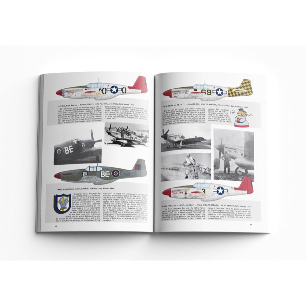 Eduard 1/32 P-51B Mustang Royal Hybrid Model Kit