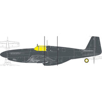 Eduard 1/32 P-51B Birdcage Canopy TFace Mask