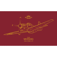 Eduard 1/72 P-51D Mustang Dual Combo Plastic Model Kit
