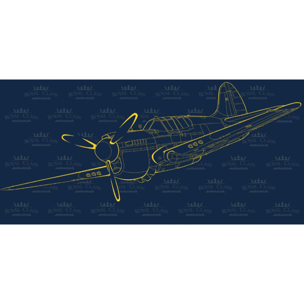 Eduard 1/48 P-40K Warhawk Dual Combo