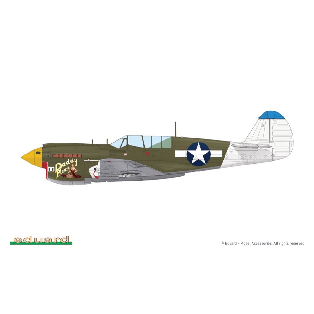 Eduard 1/48 P-40N Warhawk Royal Class Dual Combo Plastic Model Kit