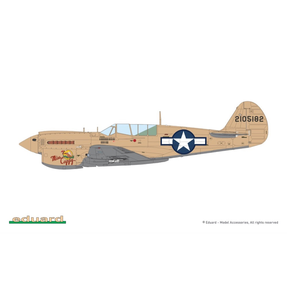 Eduard 1/48 P-40N Warhawk Royal Class Dual Combo Plastic Model Kit