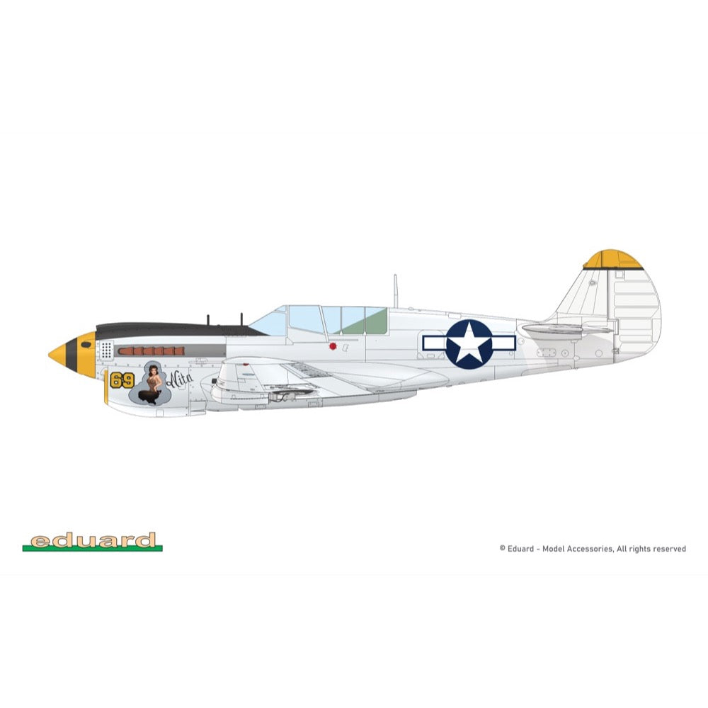 Eduard 1/48 P-40N Warhawk Royal Class Dual Combo Plastic Model Kit