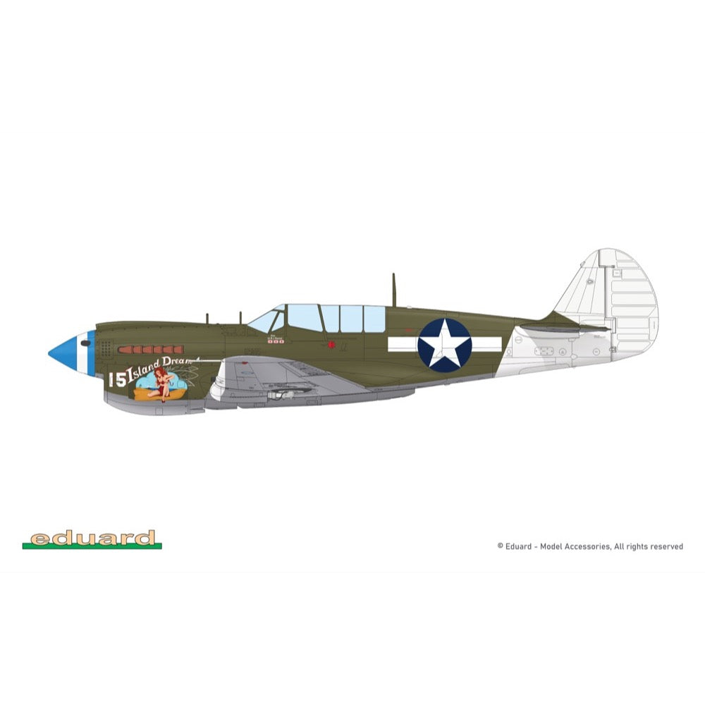 Eduard 1/48 P-40N Warhawk Royal Class Dual Combo Plastic Model Kit