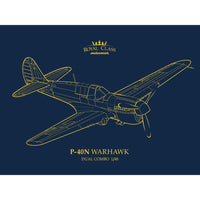 Eduard 1/48 P-40N Warhawk Royal Class Dual Combo Plastic Model Kit