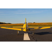 E-Flite Carbon Z T-28 Trojan 2.0m with SAFE and AS3X (BNF Basic) EFL013550
