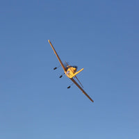 E-Flite EFL08250 T-28 Trojan 1.1m RC Plane (Bind-n-Fly Basic)