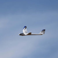 E-Flite Night Radian 2.0m RC Glider (BNF Basic) EFL36500