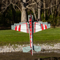 E-Flite Eratix 3D Flat Foamy 860mm BNF Basic EFL01950