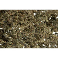 Woodland Scenics F1134 Dead Fine- Leaf Foliage