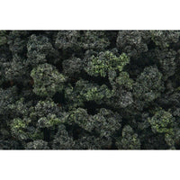 Woodland Scenics FC149 Forest Blend Bushes Clump-Foliage | Metro Hobbies