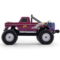 FMS 1/10 Ford F100 RTR High Roller