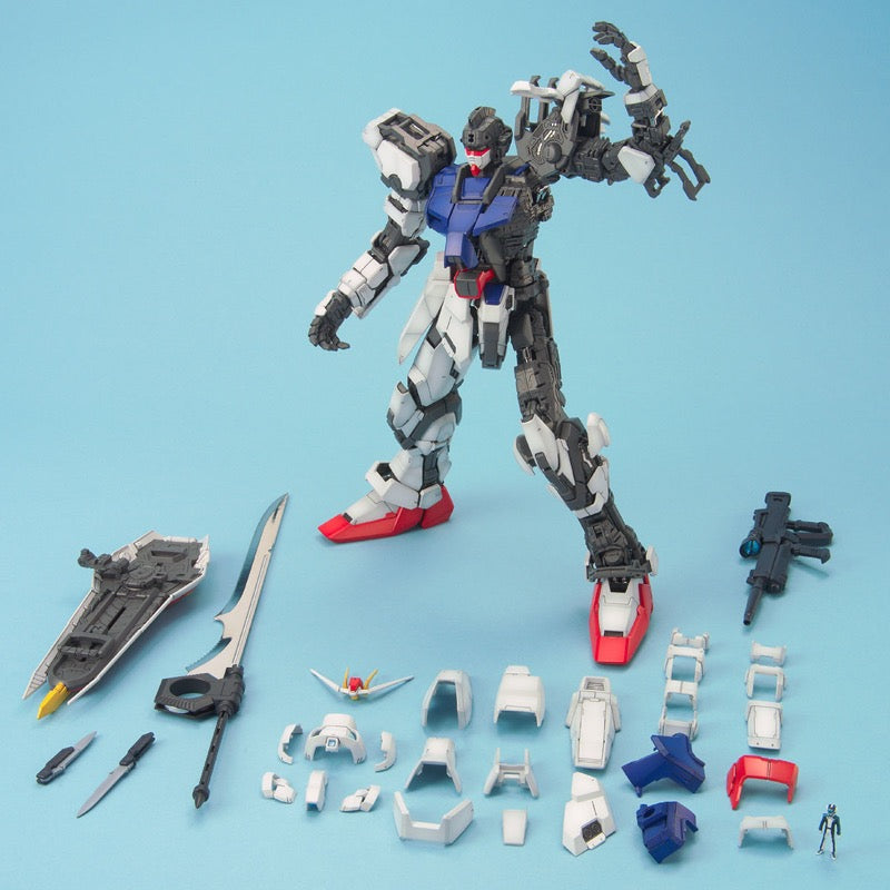 Bandai 5063054 PG 1/60 PG Strike Gundam Seed |  Hobbies Online